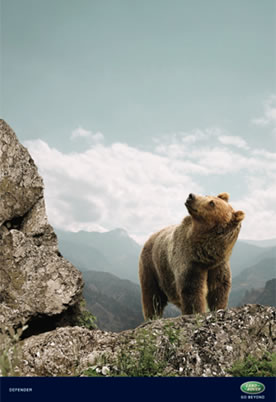Animales 4
