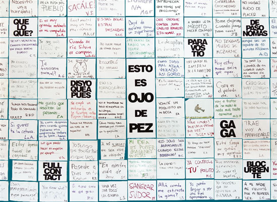 Web - Ojo de Pez