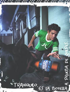 Perro