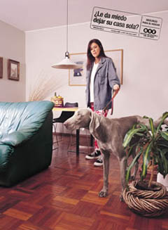 Perro