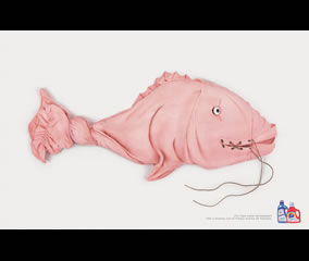 Pescado