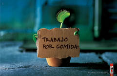 Mejor anuncio de Gráfica - Oro Iberoamérica