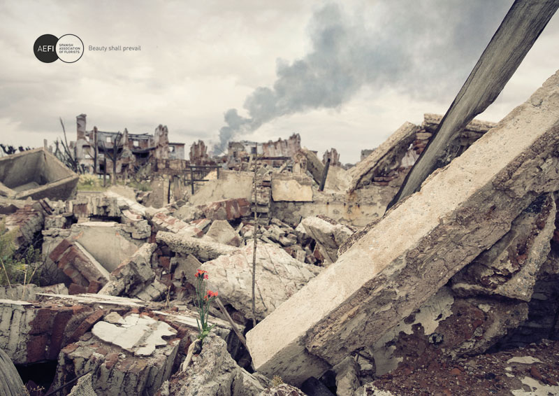 Campaña AEFI - Disasters
