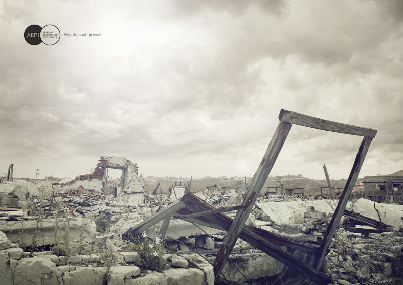Disasters 3