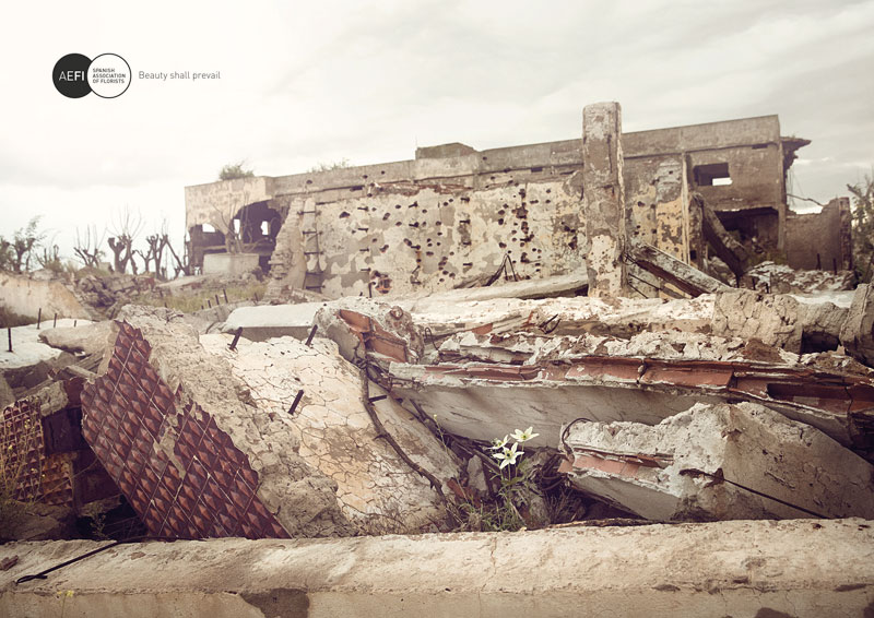Disasters 4