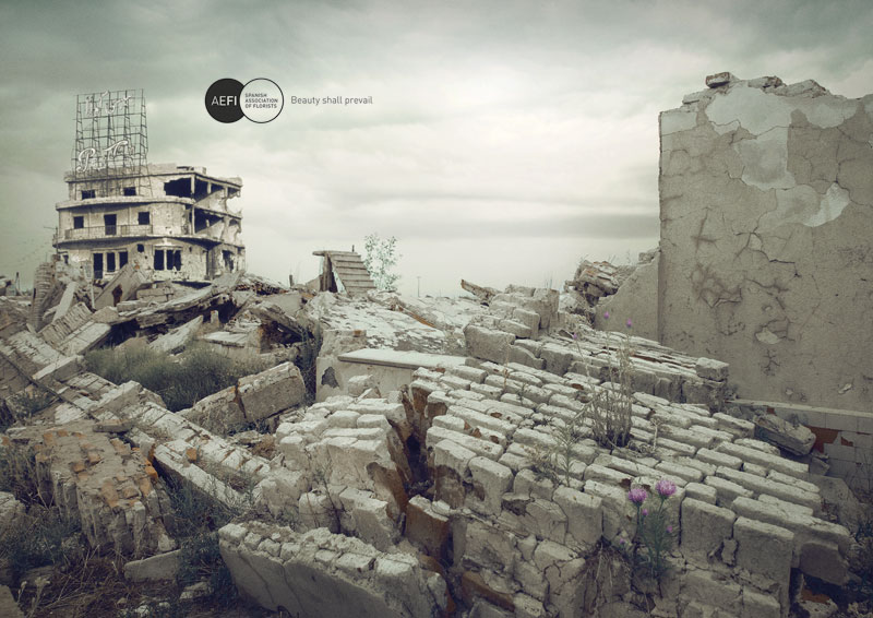 Disasters 5