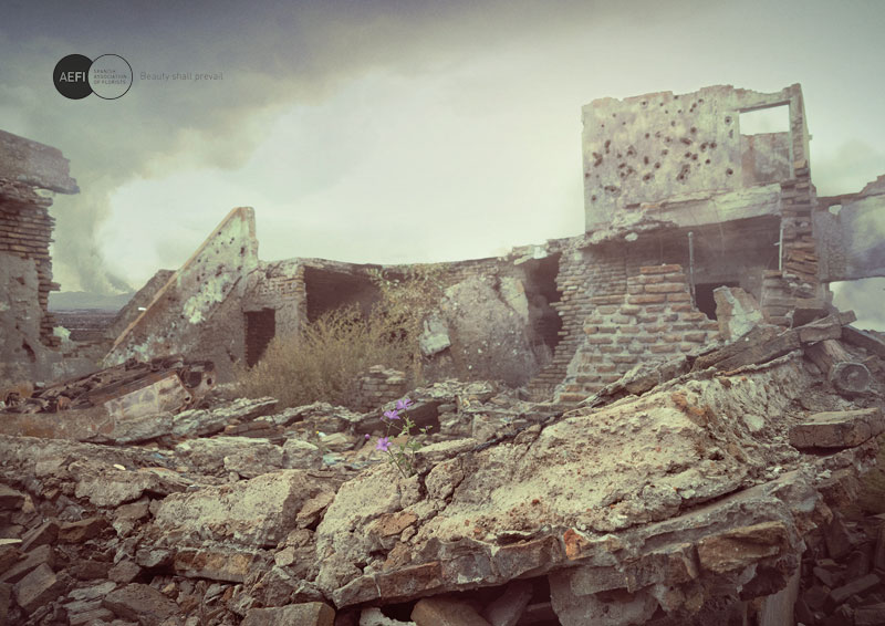 Disasters 6