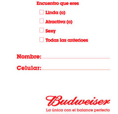 Bronce - Publicidad Promocional