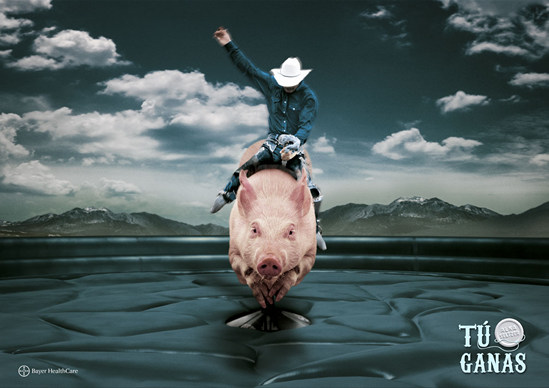 Rodeo 3
