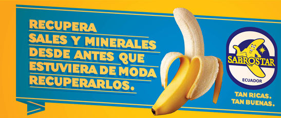 Sales Minerales
