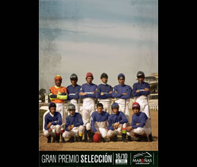 Hípica Rioplatense S.A. 