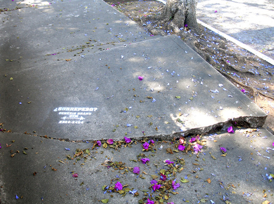 Acción Genesis Grand Gym
