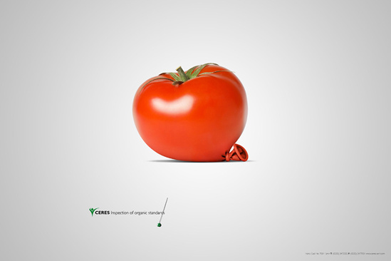 CERES GMBH