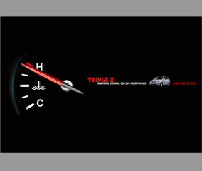 TripleX