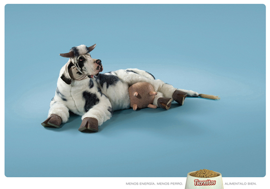 Vaca