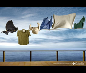 Viento