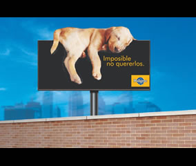 Vía Pública - Pedigree (TBWA Worldwide)