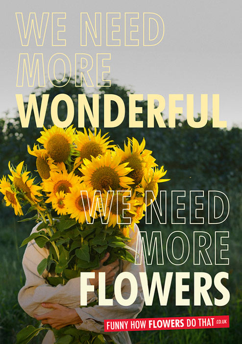 We need more flowers 2