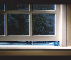 Window