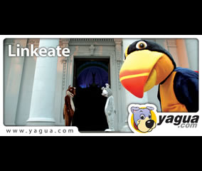 Yagua.com 8