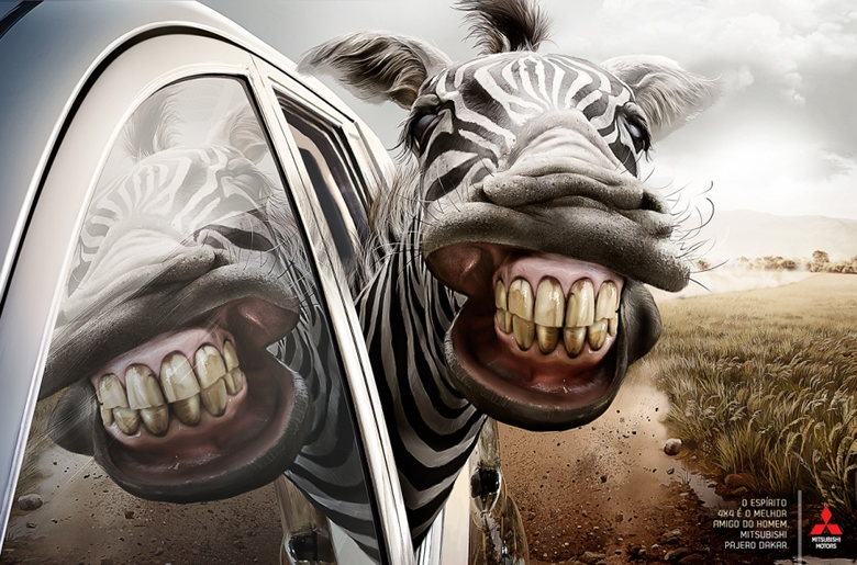 Zebra